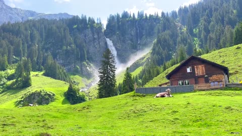 Stäubifall, Switzerland - The Most Amazing Waterfall on The Earth - Relaxing Nature Sounds
