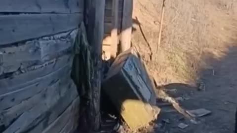 In the trenches near Artemovsk. A very remarkable video from the Ukrainian trenches