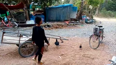 My Rural Cambodian Life - Touring the Farmlands at Sunset