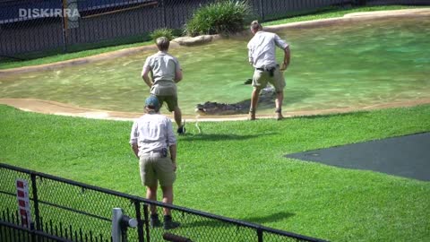 Robert Irwin getting pulled by Murray the crocodile's powerful head shakes!!!