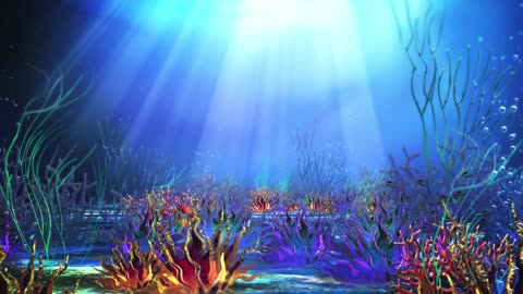 background video of colorful and beautiful underwater world
