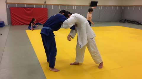 judo ippon