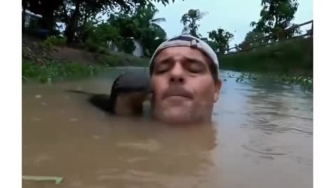 Frank Cuesta goes swimming and is greeted by a very curious river otter.