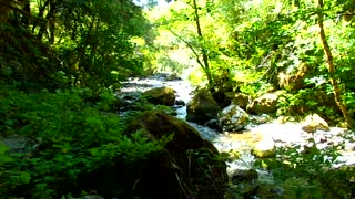 My trip into the wilderness, down stream 7/15/23: