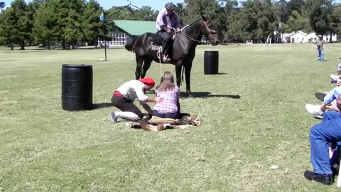 Argentina Gaucho Horse