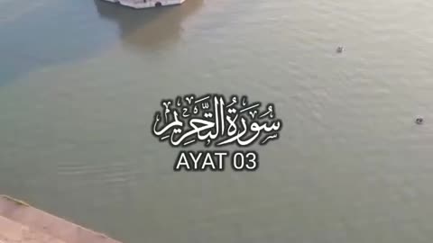 Surat ut Tahreem Quran Urdu translation Whatsapp Status #shorts #ytshorts