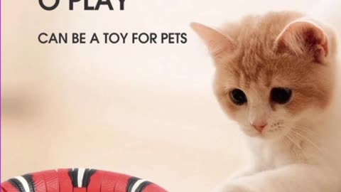 This toy is interactive and will make you have a lot of fun with your pet.