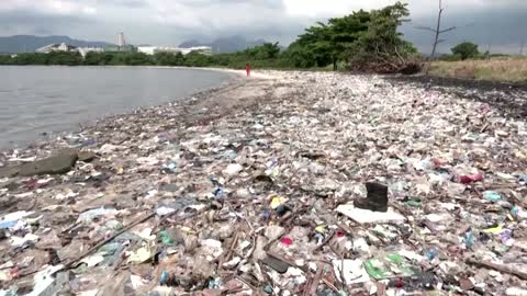 Brazilian biologists 'frightened' at microplastics in marine life