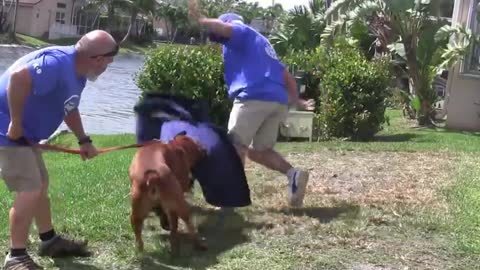A tribute to one of dog trainings very best - Richard heinous the Miami dog whisperer