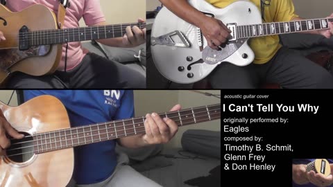 Guitar Learning Journey: "I Can't Tell You Why" cover - instrumental