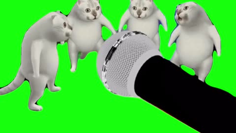 Cats Singing – Murcat | Green Screen