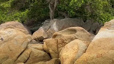 #Lovely #lovelyview #nature #river #riverside #wind #windyday 🙏😎