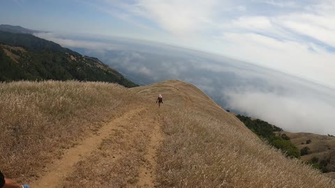 Hidden Big Sur CA- Boronda Trail - High Altitude Motivational Trail Run