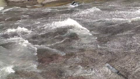Araku, Chaparai Water Fall Beautifull Video 2
