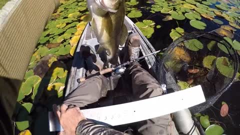 A Relaxing Day Of Frog Bassin'-9