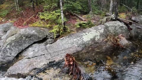 River Crossing