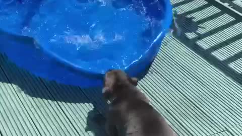 When the pool is not where you want it