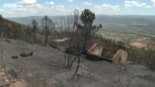 Spain wildfires force thousands out of their homes – BBC News