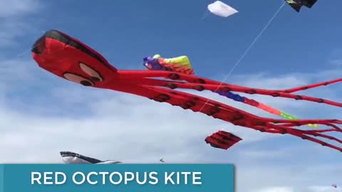 Cool kites You've never seen before with footage - UTTRAYAN Special... by ITOPINGS