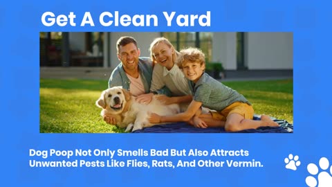 Dog Poop Cleaning Service