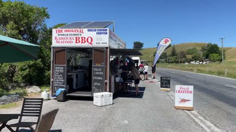 [4K] New Zealand Food Crayfish Kaikoura Seafood BBQ Kiosk