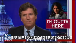 Tucker Carlson: Tulsi Gabbard's career as a rising Democratic Party star came to a halt