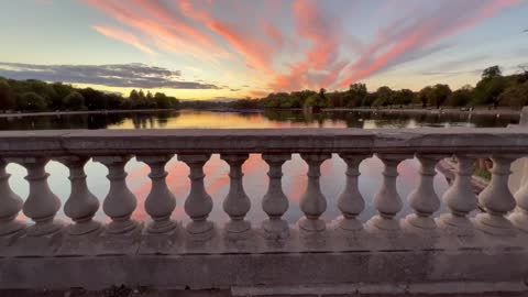 Richmond Park. London.UK