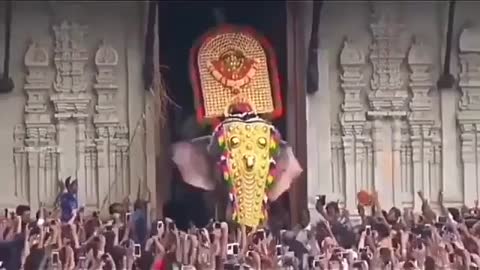 India's most tallest Elephant