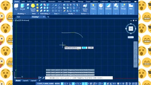 Pakistan flag | Pakistan flag designs | Pakistan flag designs in AutoCAD