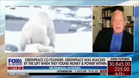 'Fighting climate change’ a ‘stupid expression’: Greenpeace co-founder