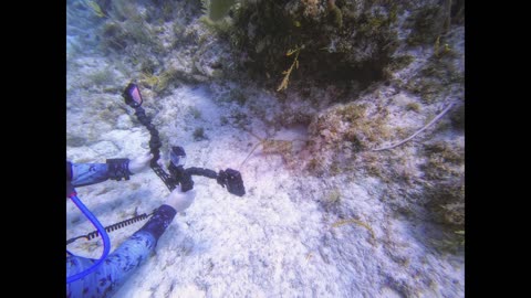 Scuba diving off the coast of Key Largo, Florida