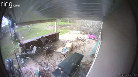 Father and Daughter Almost Get Crushed by Tree