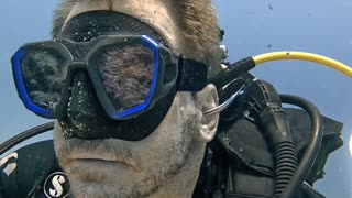 Small Fish Cleans Scuba Diver's Ears