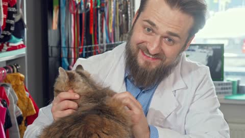 Cheerful veterinarian smiling joyfully, petting adorable cat at his clinic