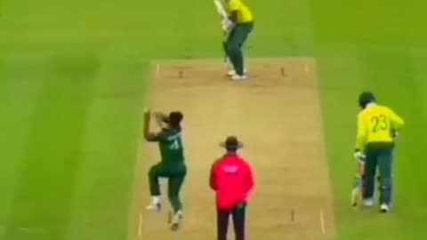 fans-video cricket lovers-video #cricket #cricketlover