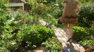 The Edible Garden 03