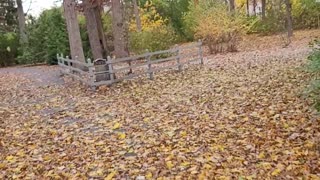 A fall day in Perrysburg Ohio