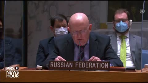 Russian Federation at UN Security Council.