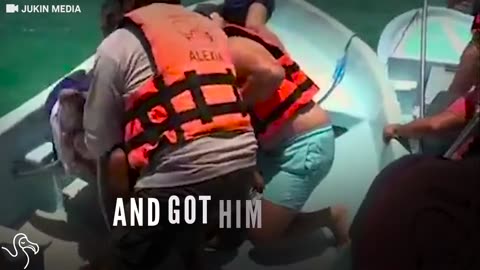 Dolphin Jumps Right Into Boat, And People Rush To Help Him