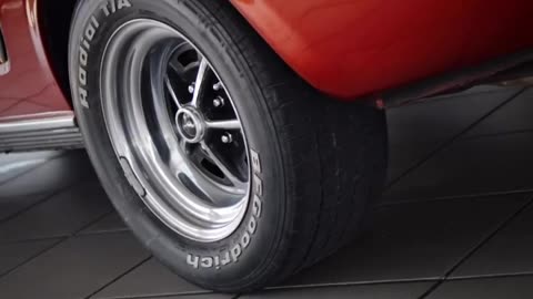 Ford Mustang Shelby - Car - Shorts - Carshorts