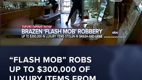 FLASH MOB ROBS UP TO $300000 OF LUXURIOUS ITEMS IN CALIFORNIA