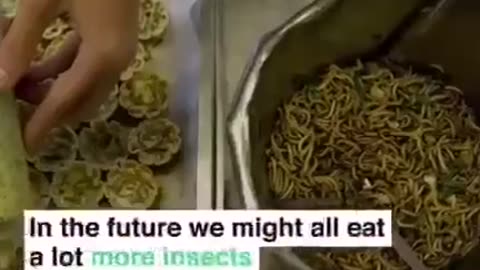 The World Economic Forum (WEF) continues to permanently push its insect-eating message