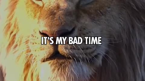 Lion motivation ! Sigma rules ~ 😎 attitude status video