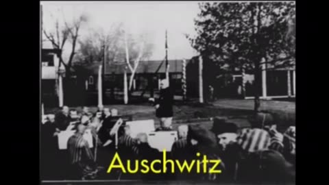 Auschwitz concentration camp inmates reflect on how they spent their time there during the war..