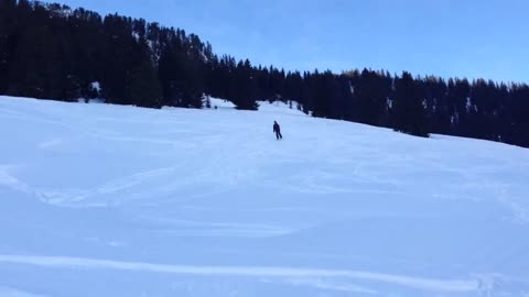 Backflip Fail Skiing