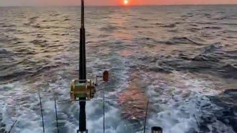 Motor Boating - Fishing the Gulf of Mexico off of Tampa Bay