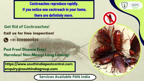 Cockroach Control Bangalore