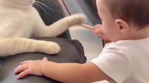 Baby and Animals 🤣 wait for the end 🤣 #funnyvideos #cat #dog #baby #chaton #chien
