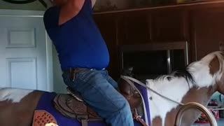 Husband Gets Horse to Help Around the House