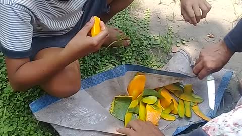 mangga gaduung